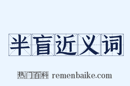 半盲近义词是什么意思的图片